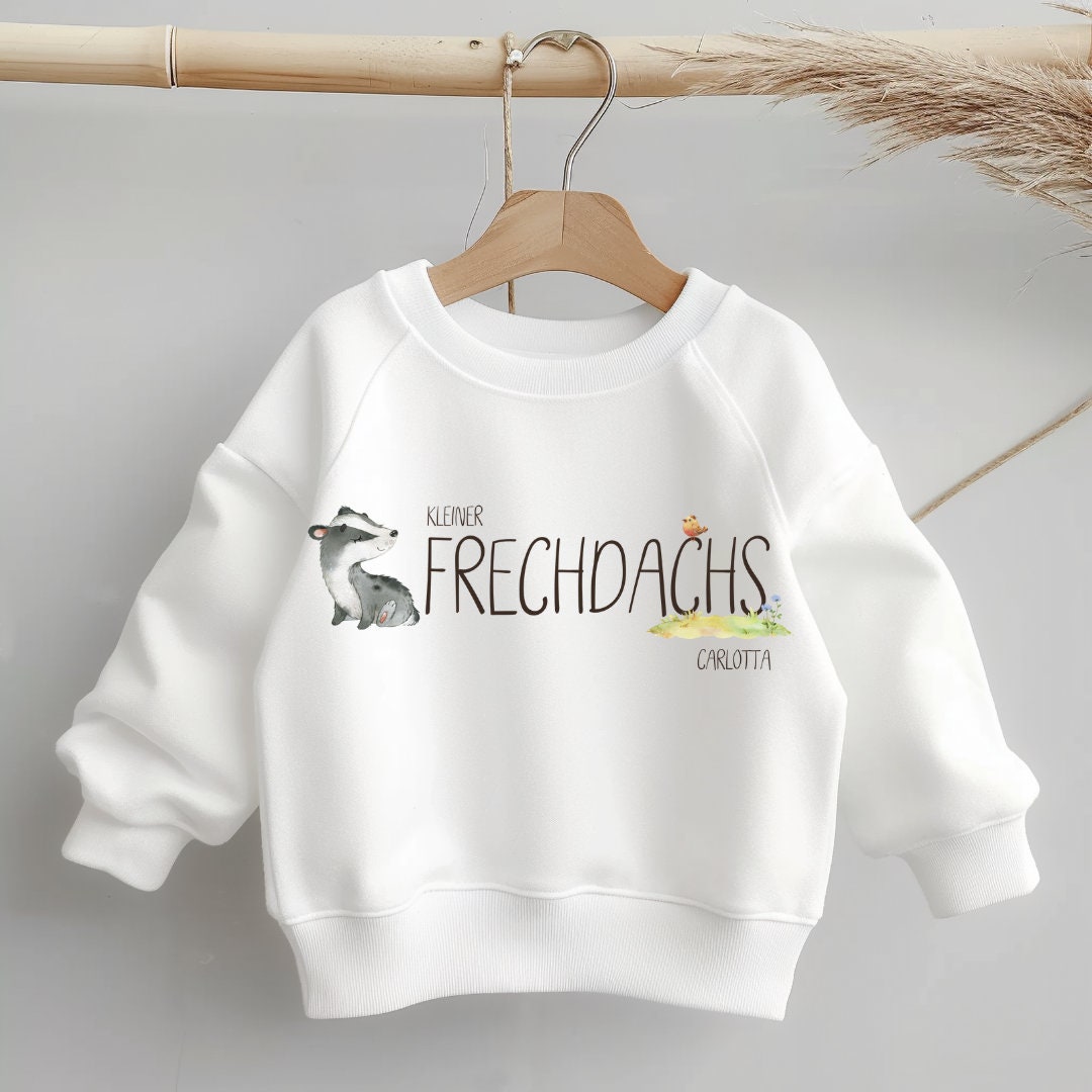Pullover Sweatshirt Sweater personalisiert pullover Babypullover Kleiner Frechdachs personalisiert – Sweatshirts