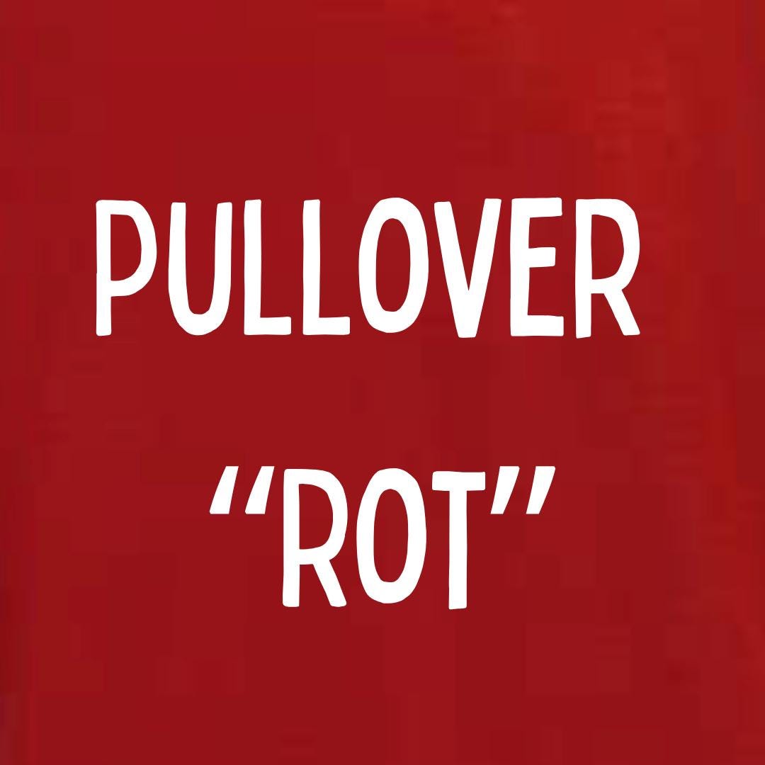 Weihnachtspullover Pullover für Weihnachten Weihnachtssweatshirt Weihnachtsshirt personalisiert Weihnachtsmann Weihnachtsoutfit Bus