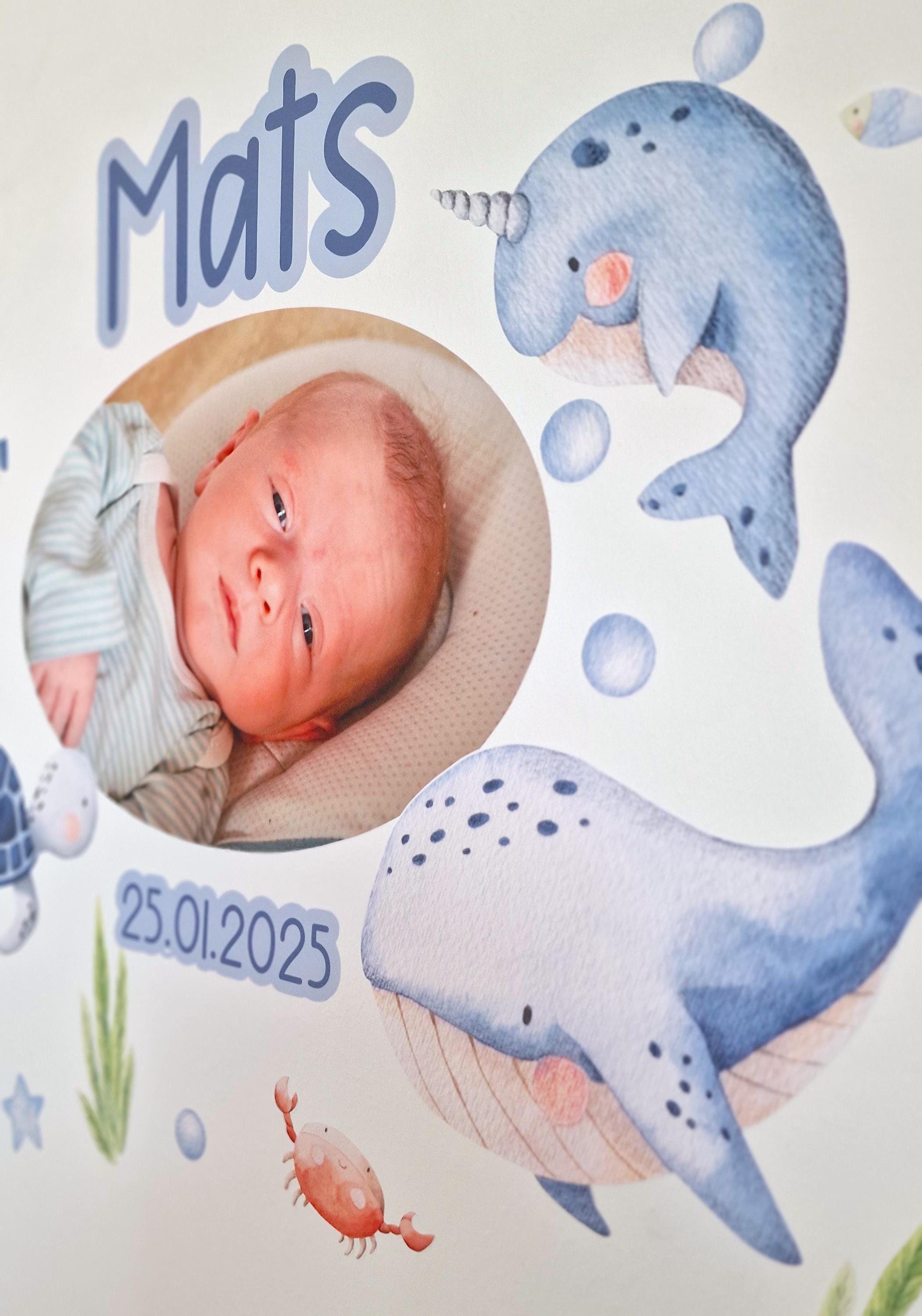 Wandtattoo mit Foto & Name – personalisiert – Meerestiere fürs Babyzimmer – Wal Schildkröte – Geschenk zur Geburt – zimmer Deko – Wall Decals & Murals