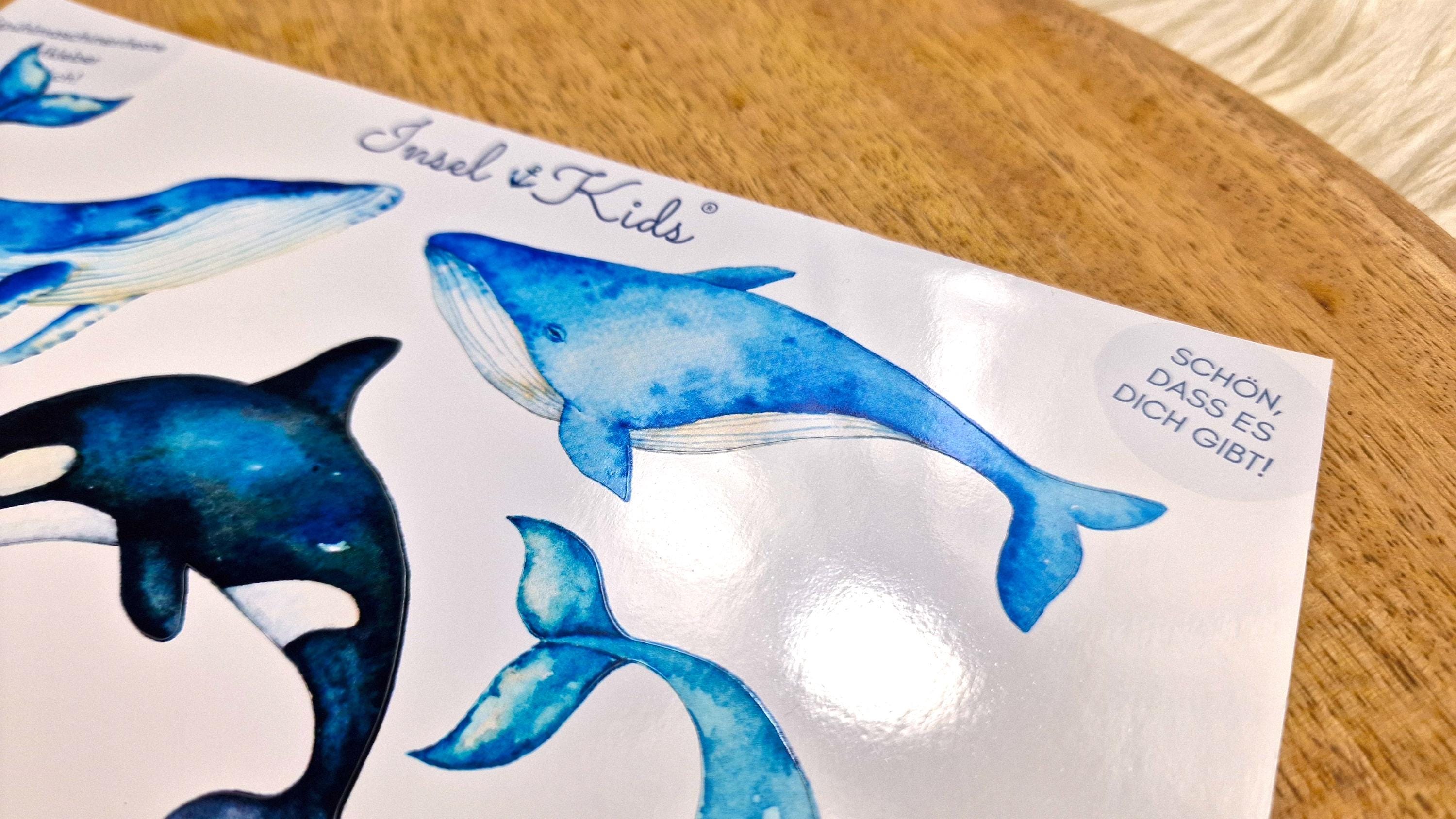 Wasserfeste Spühlmaschinenfeste Sticker Aufkleber UV-beständig Wasserfest / Für Trinkflasche Brotdose Fahrrad Fahrradhelm Wal Orca Maritim – Stickers