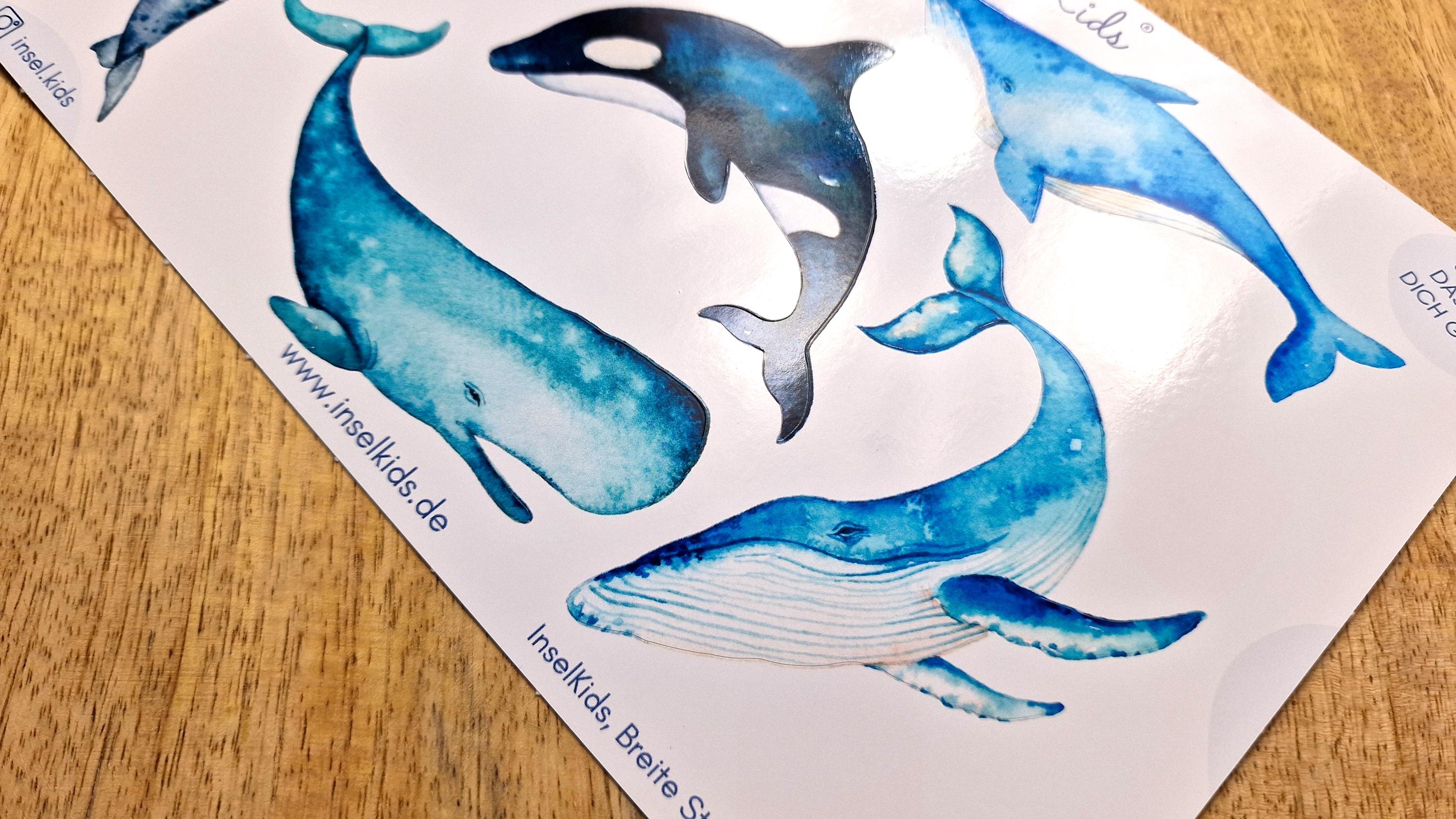 Wasserfeste Spühlmaschinenfeste Sticker Aufkleber UV-beständig Wasserfest / Für Trinkflasche Brotdose Fahrrad Fahrradhelm Wal Orca Maritim – Stickers