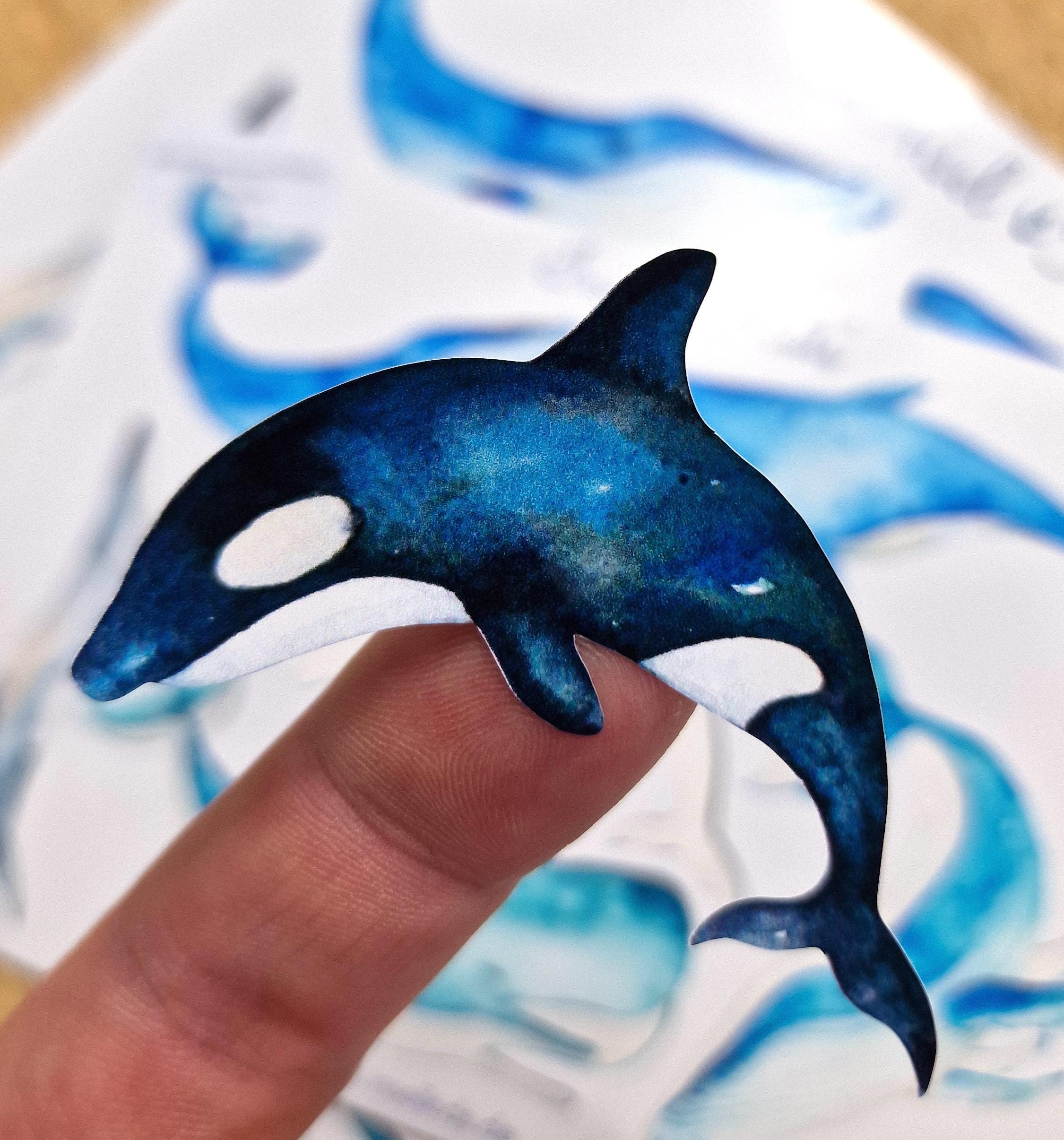 Wasserfeste Spühlmaschinenfeste Sticker Aufkleber UV-beständig Wasserfest / Für Trinkflasche Brotdose Fahrrad Fahrradhelm Wal Orca Maritim – Stickers