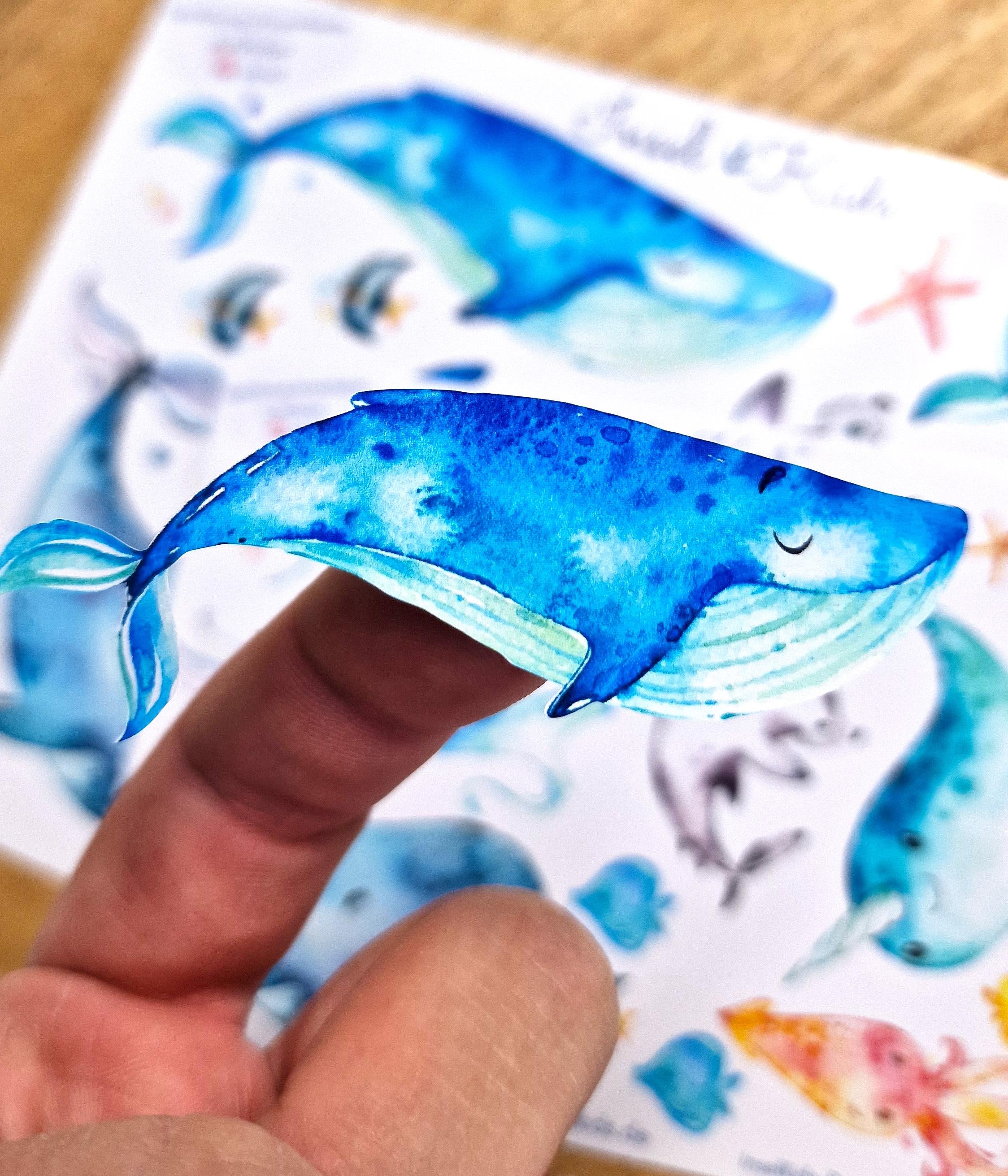 Wasserfeste und spülmaschinenfeste Sticker mit Wal-Motiv – ideal für Trinkflaschen, Brotdosen, Fahrräder und Kinderaccessoires.