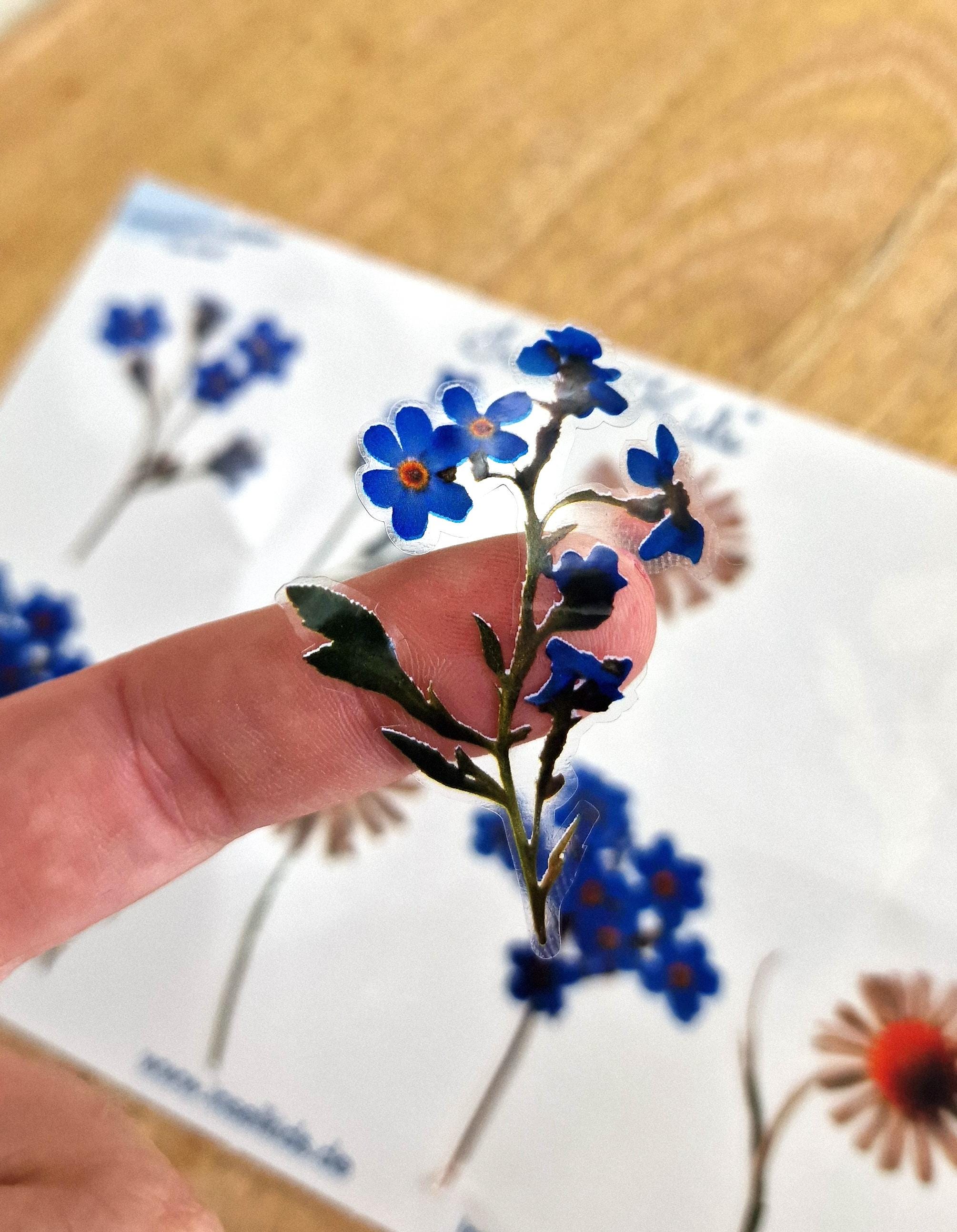 Sticker-Set Blumen – wasserfest & spülmaschinenfest – für Gläser, Windlichter, Vasen und DIY-Deko – Gänseblümchen und Vergissmeinnicht – Stickers