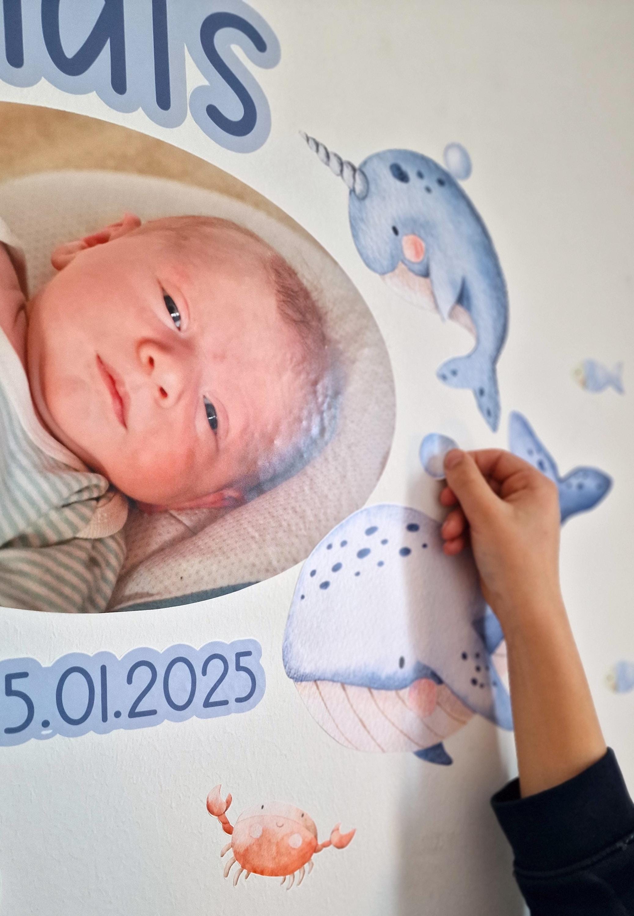 Wandtatoo Wandbild Wandaufkleber zimmer personalisiert Wanddekoration Wal Unterwasser Meerestiere Schildkröte
