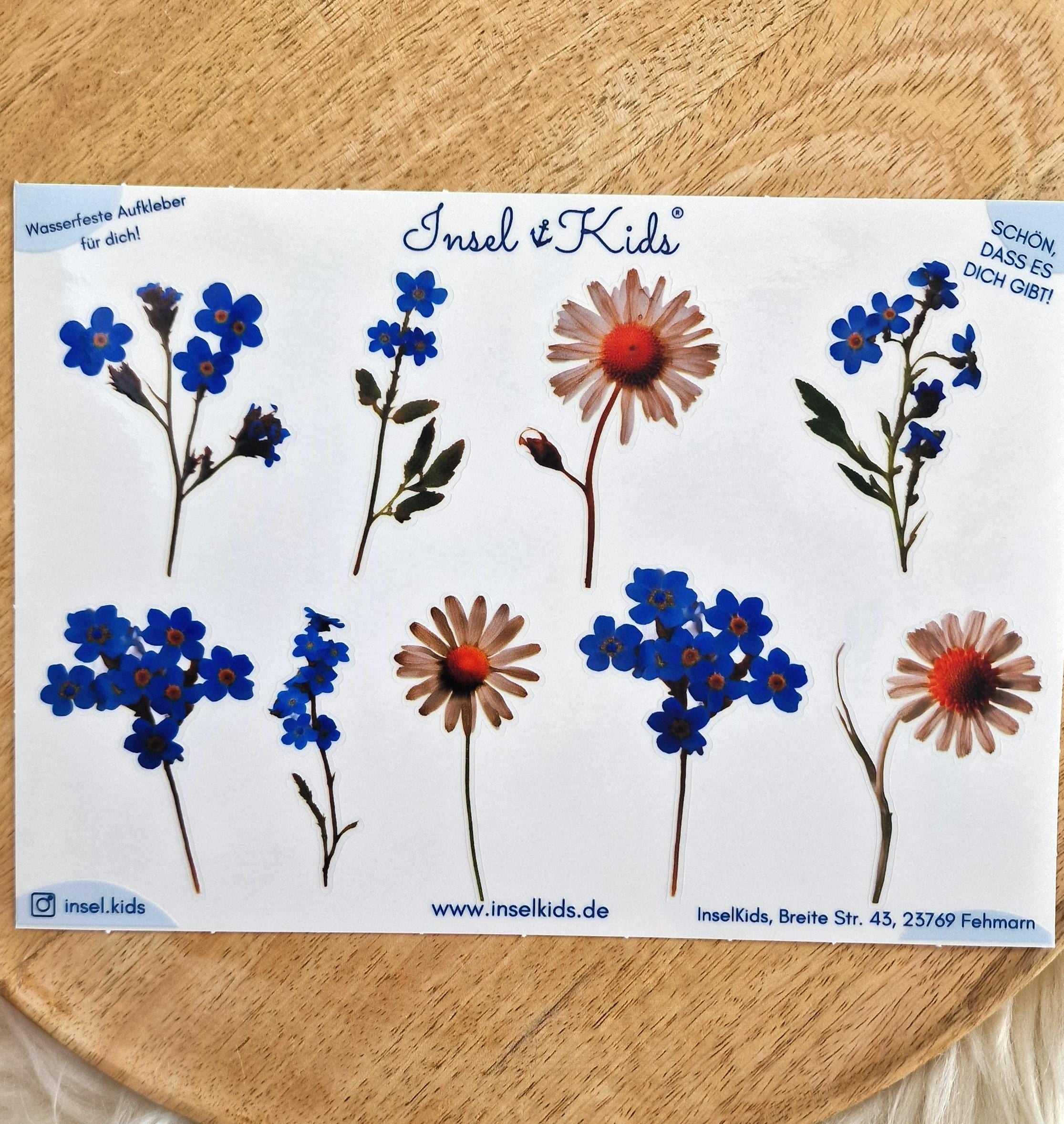 Sticker-Set Blumen – wasserfest & spülmaschinenfest – für Gläser, Windlichter, Vasen und DIY-Deko – Gänseblümchen und Vergissmeinnicht – Stickers