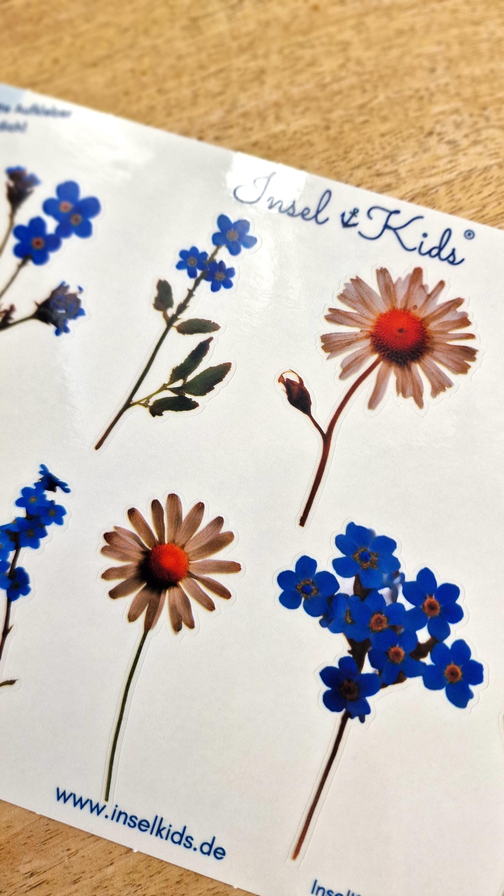 Sticker-Set Blumen – wasserfest & spülmaschinenfest – für Gläser, Windlichter, Vasen und DIY-Deko – Gänseblümchen und Vergissmeinnicht – Stickers