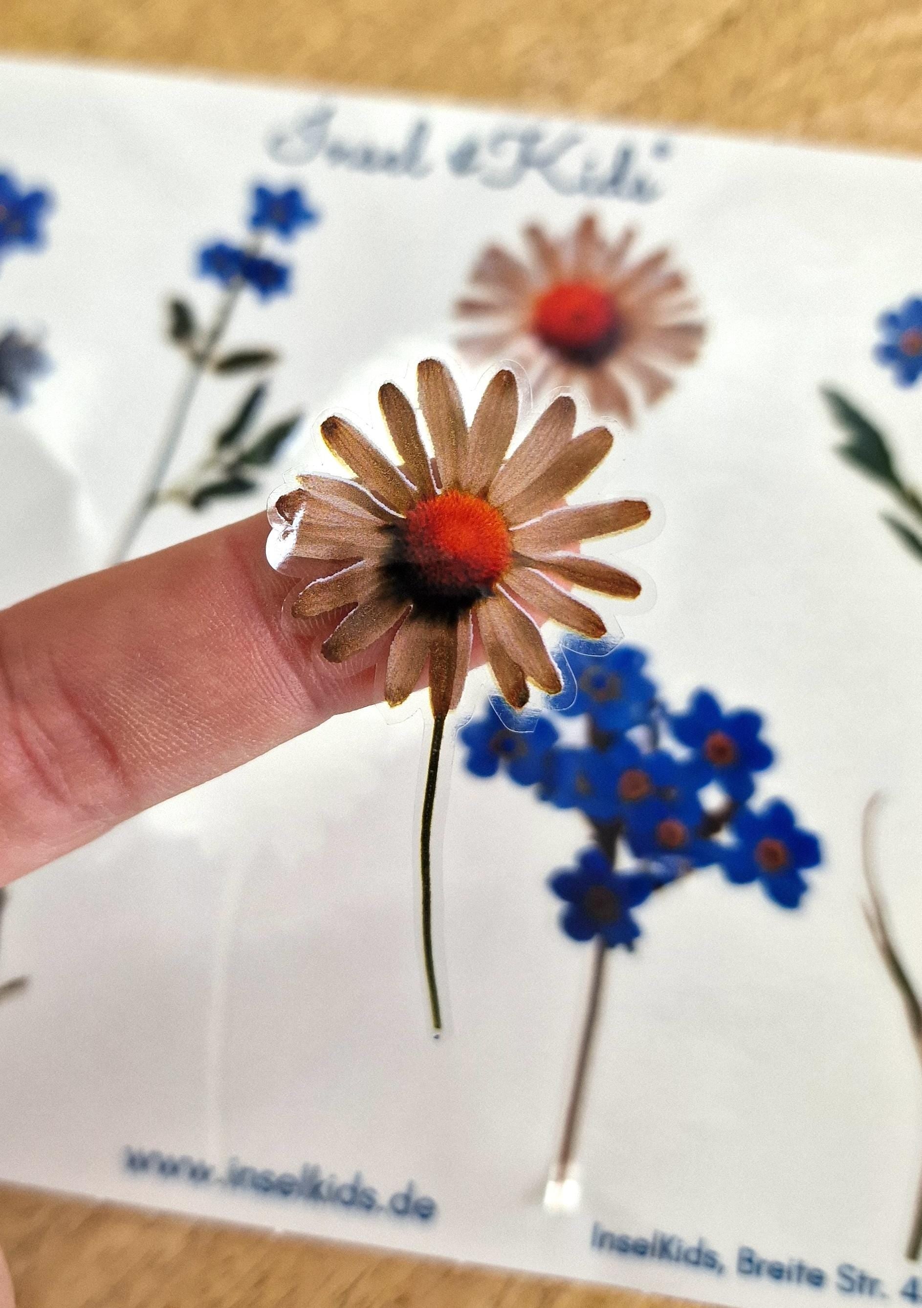 Sticker-Set Blumen – wasserfest & spülmaschinenfest – für Gläser, Windlichter, Vasen und DIY-Deko – Gänseblümchen und Vergissmeinnicht – Stickers