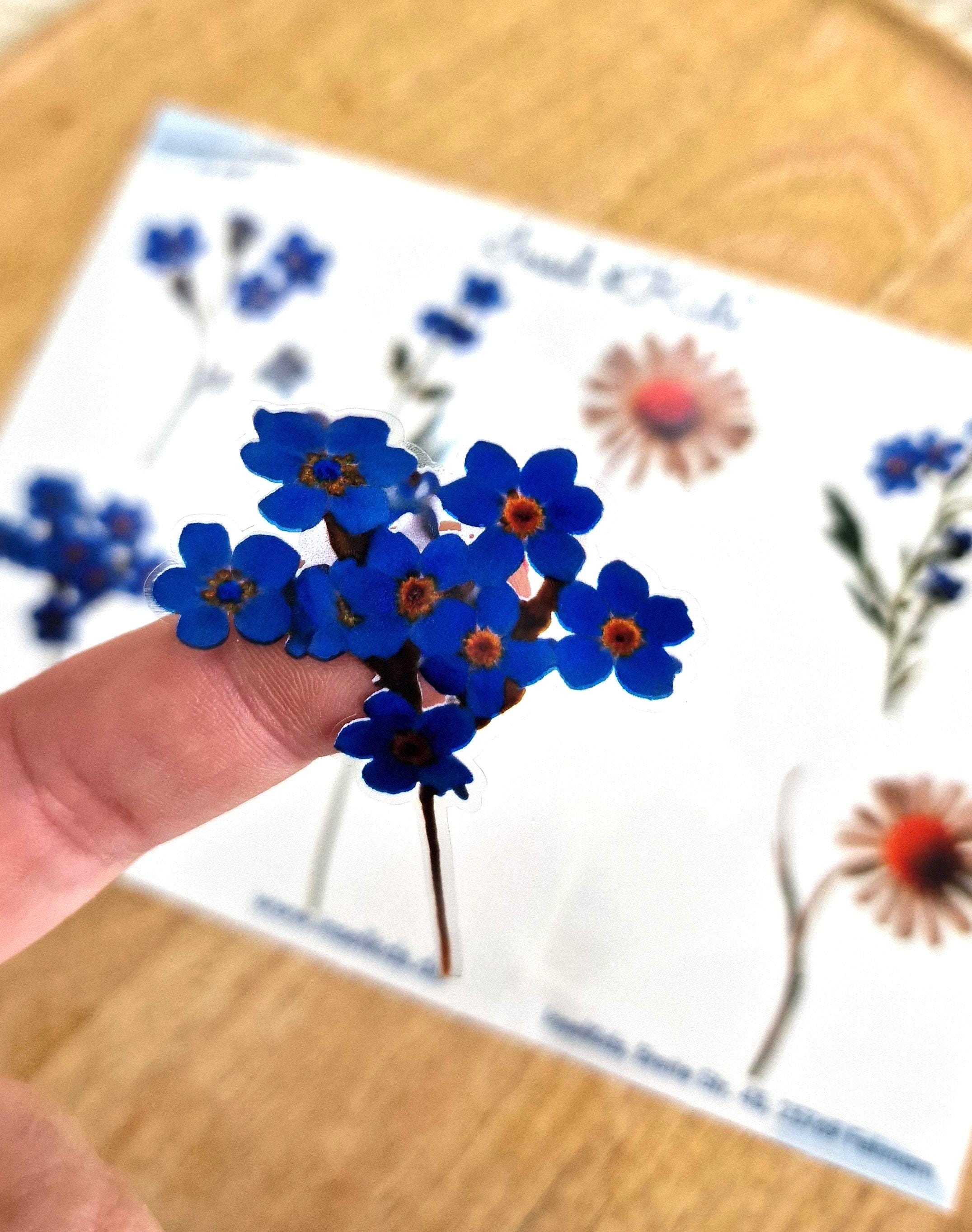 Sticker-Set Blumen – wasserfest & spülmaschinenfest – für Gläser, Windlichter, Vasen und DIY-Deko – Gänseblümchen und Vergissmeinnicht – Stickers