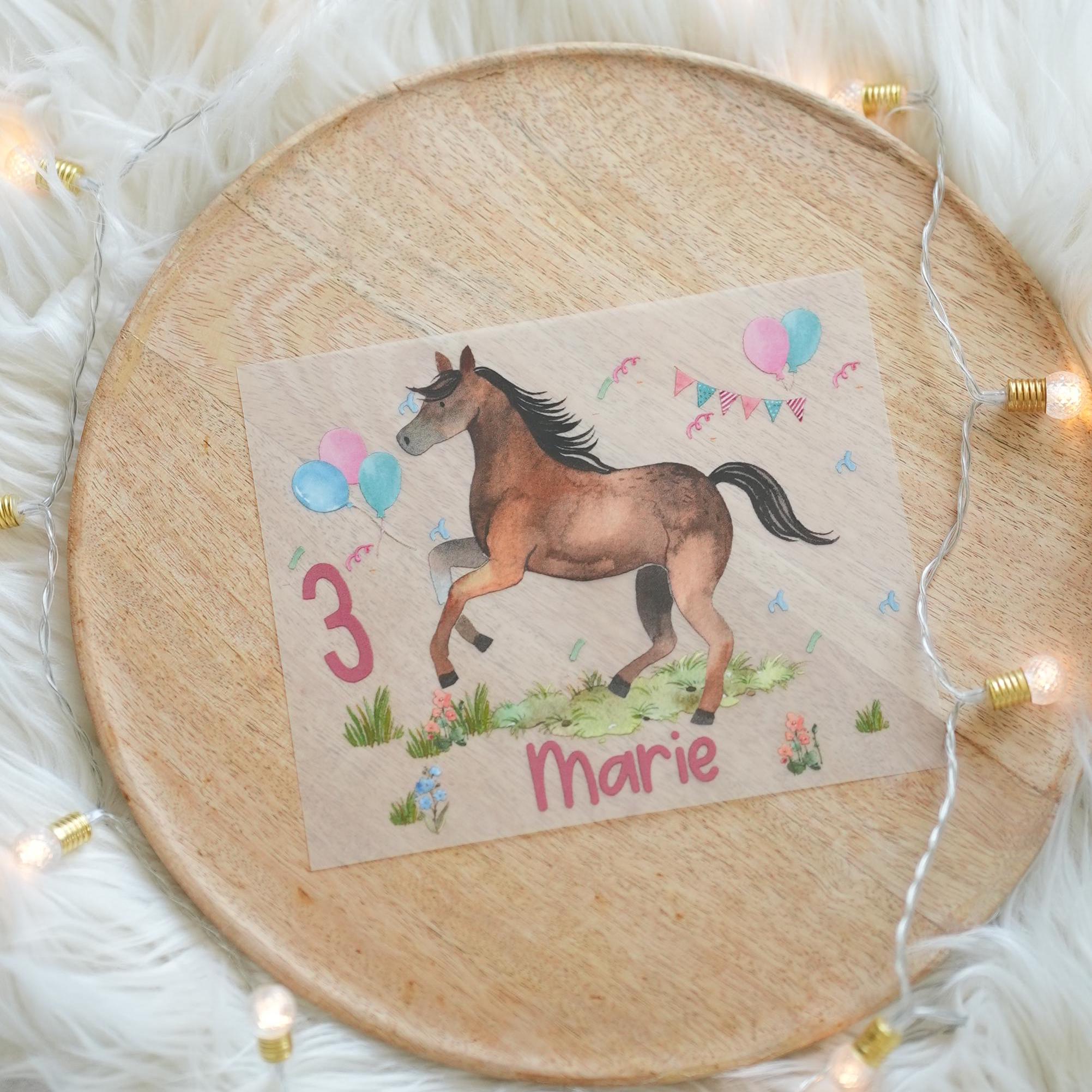 Bügelbild mit Pferd & Name – personalisiert für – Pony und Reiterin Motiv – für s und Geburtstage – A4 oder A5 – Appliques & Patches
