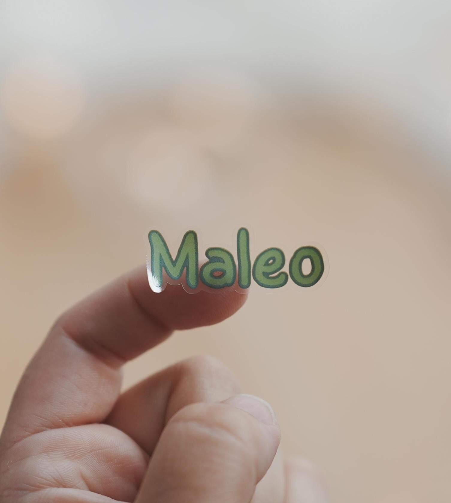 Personalisierte Dino Sticker für Kinder – spülmaschinenfest & wasserfest – mit Fahrzeugmotiven und Namen – Stickers