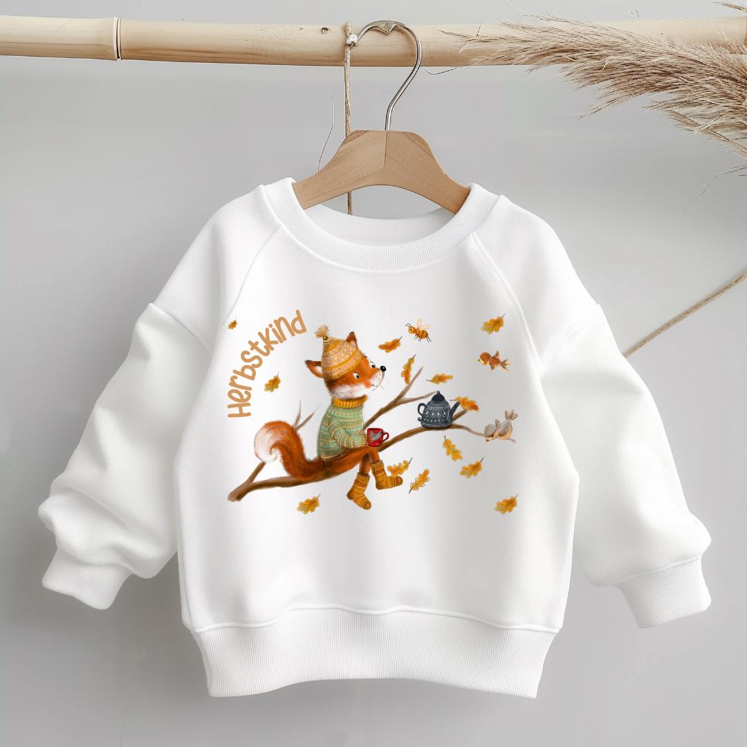 Pullover Sweatshirt Sweater Herbst personalisiert pullover Babypullover personalisiert Laterne Laterne laufen