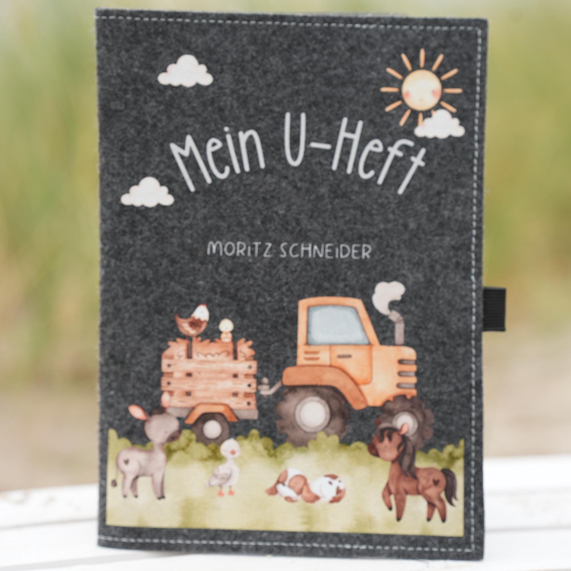 filz hülle u heft u heft hülle filz personalisierte u heft hülle Untersuchungsheft U Heft Hülle mit Name u heft hülle personalisiert hülle u heft u untersuchungsheft Geschenk Geburt Geschenk Taufe zur geburt geschenk