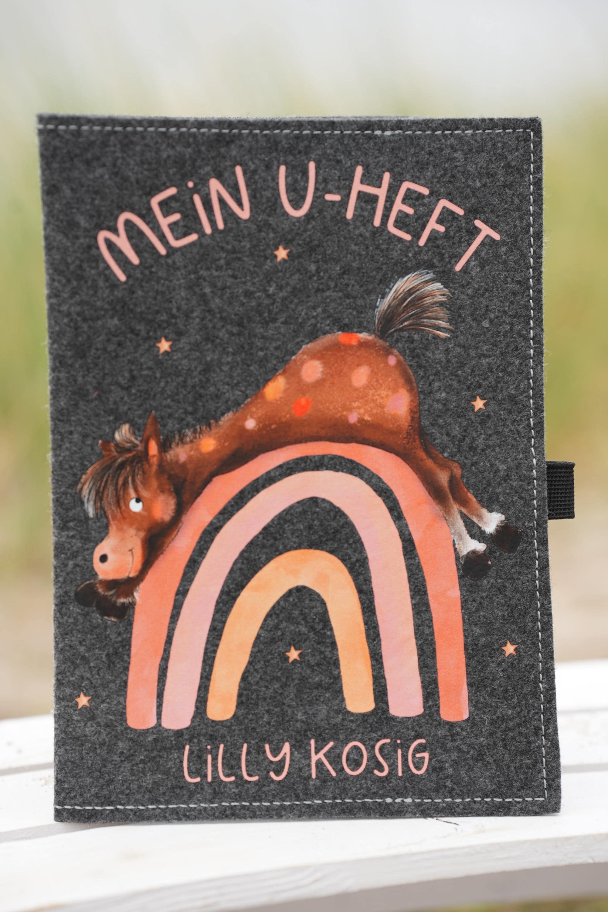 Hülle U Heft personalisiert mit Name Filz Untersuchungsheft U Heft Hülle mit Name Geschenk Taufe Geschenk Geburt Hülle Pferd Regenbogen