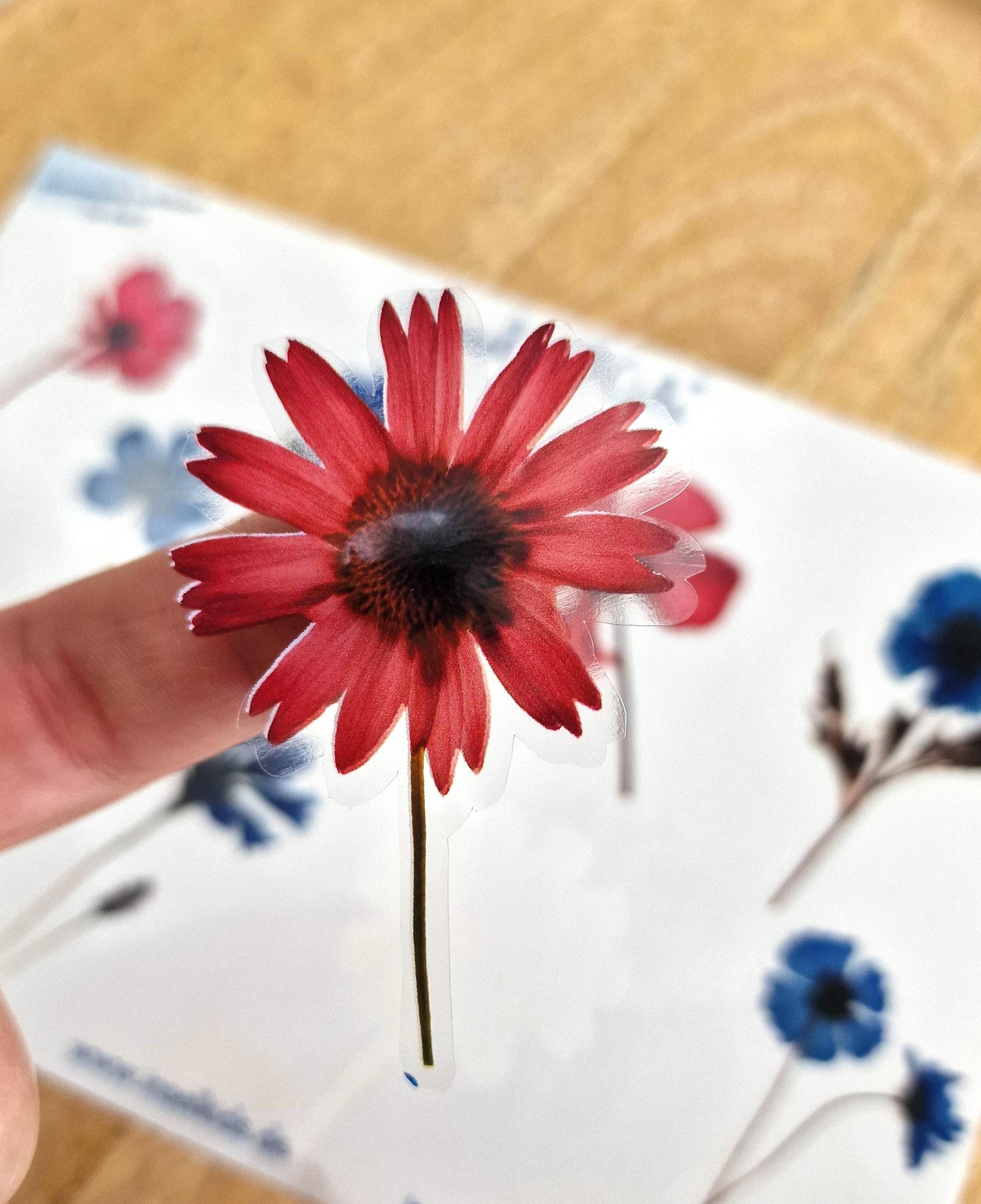 Wasserfeste Spühlmaschinenfeste Sticker Transparent Aufkleber UV-beständig Wasserfest / Für Trinkflasche Brotdose Getrocknete Blumen – Stickers