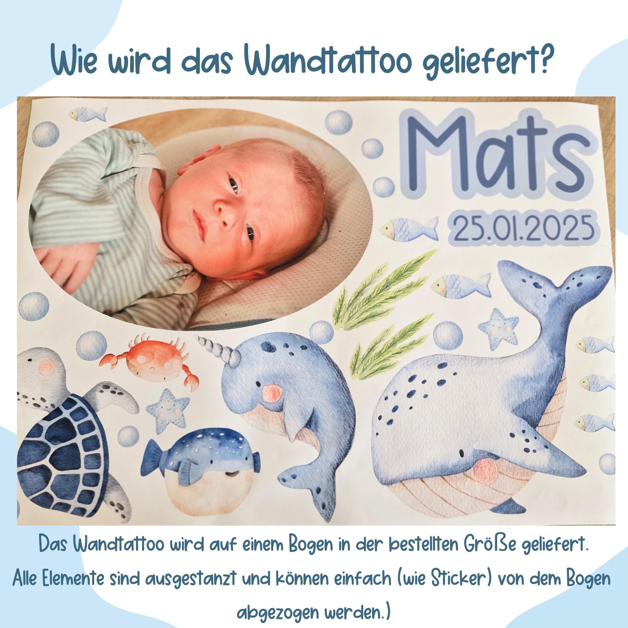 Wandtatoo Wandbild Wandaufkleber Kinderzimmer personalisiert Wanddekoration Wal Unterwasser Meerestiere Schildkröte