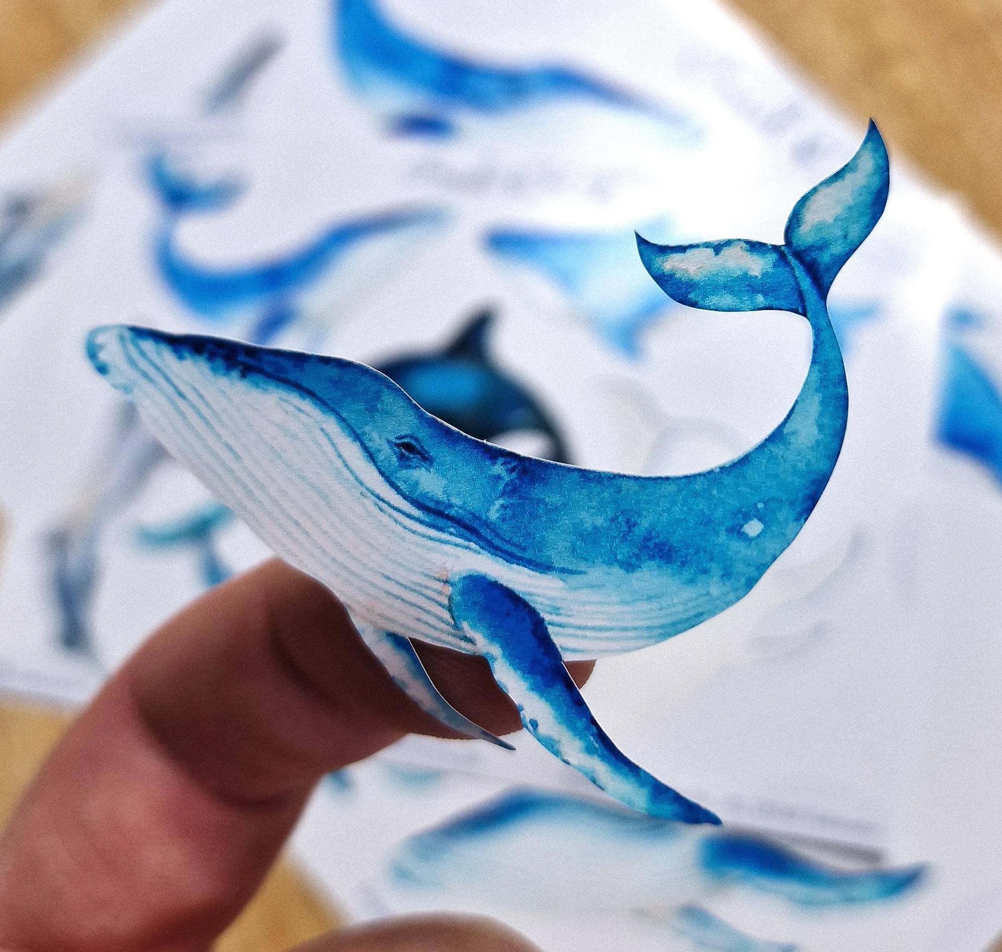 Wasserfeste Spühlmaschinenfeste Sticker Aufkleber UV-beständig Wasserfest / Für Trinkflasche Brotdose Fahrrad Fahrradhelm Wal Orca Maritim – Stickers