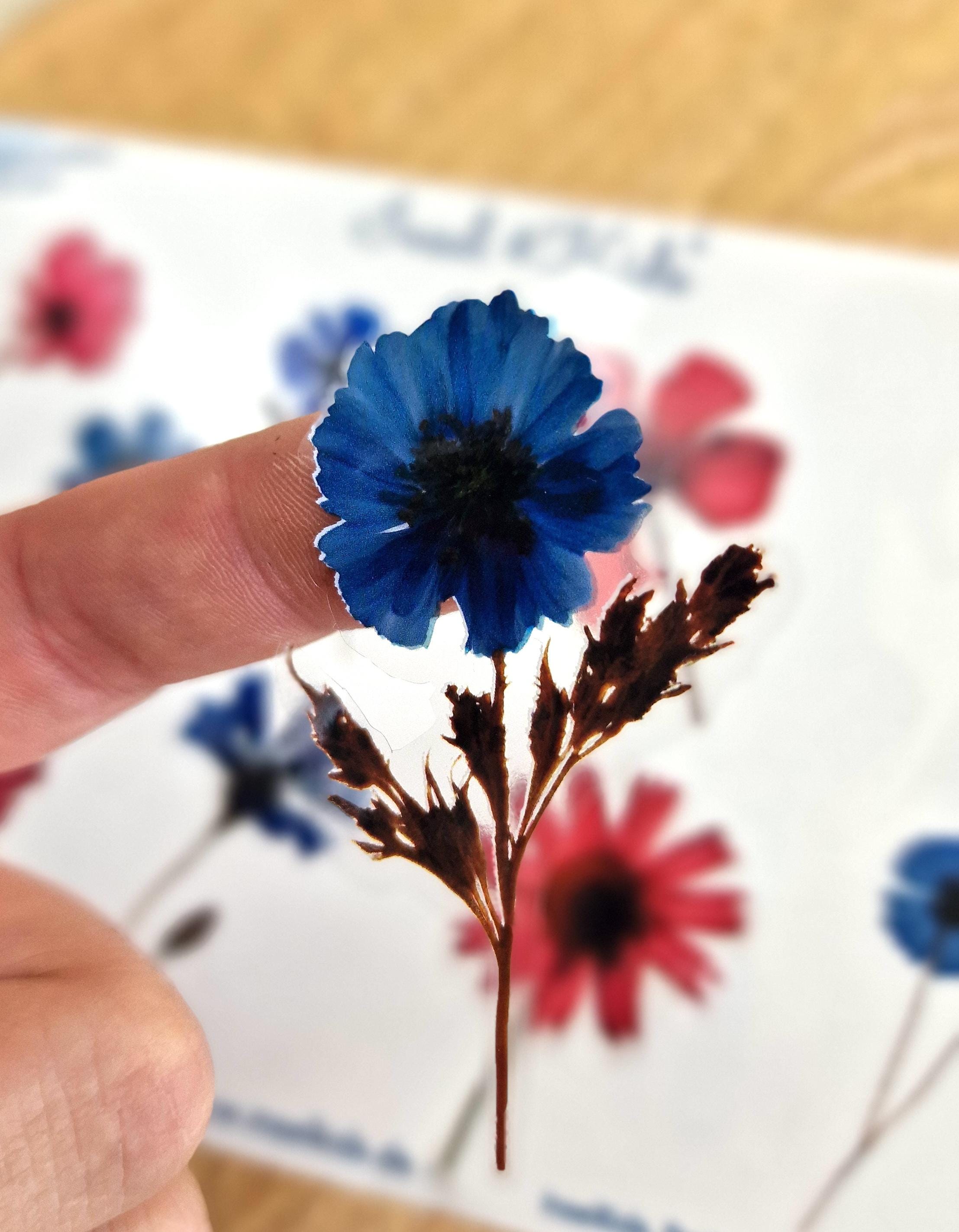 Wasserfeste Spühlmaschinenfeste Sticker Transparent Aufkleber UV-beständig Wasserfest / Für Trinkflasche Brotdose Getrocknete Blumen – Stickers