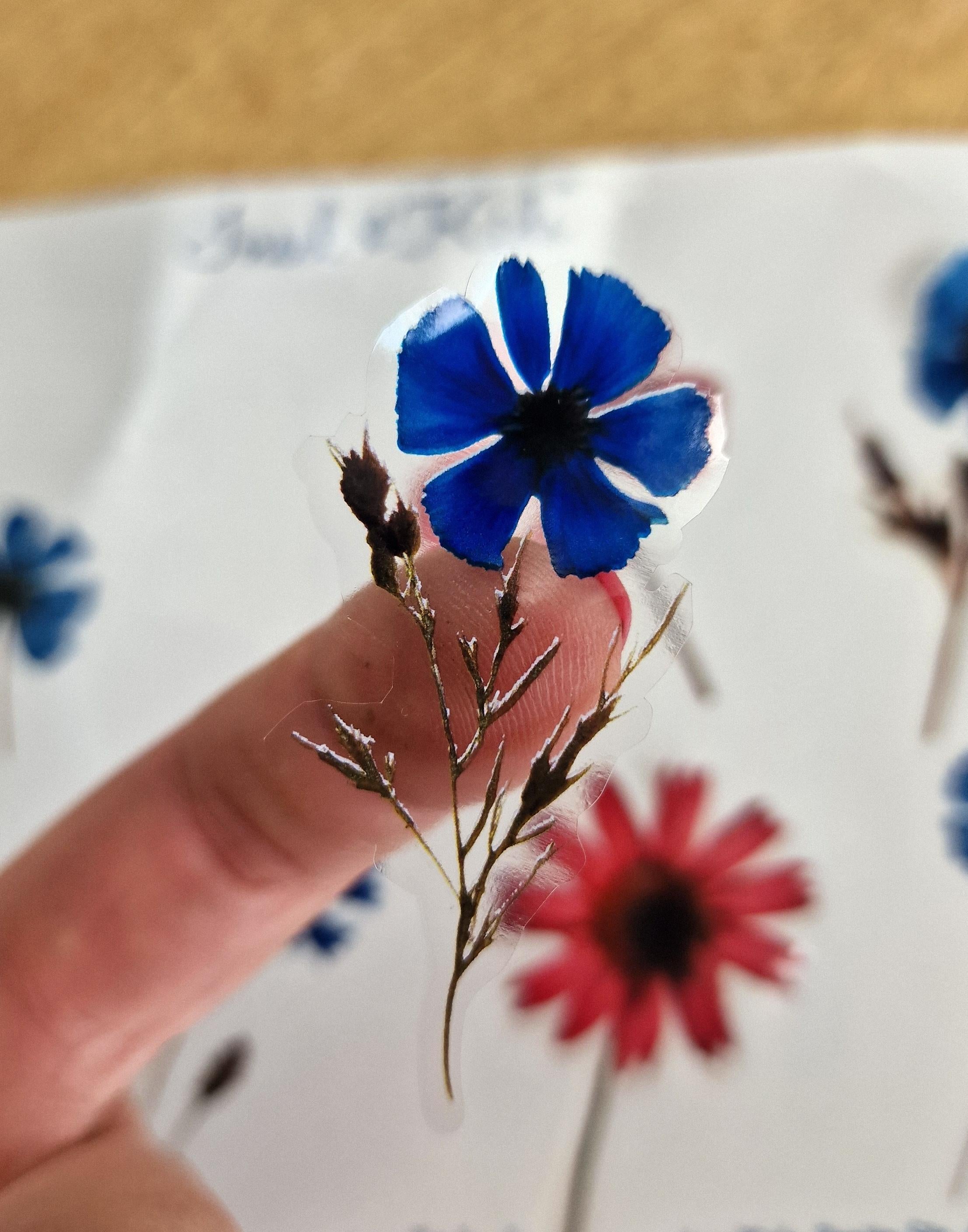 Wasserfeste Spühlmaschinenfeste Sticker Transparent Aufkleber UV-beständig Wasserfest / Für Trinkflasche Brotdose Getrocknete Blumen