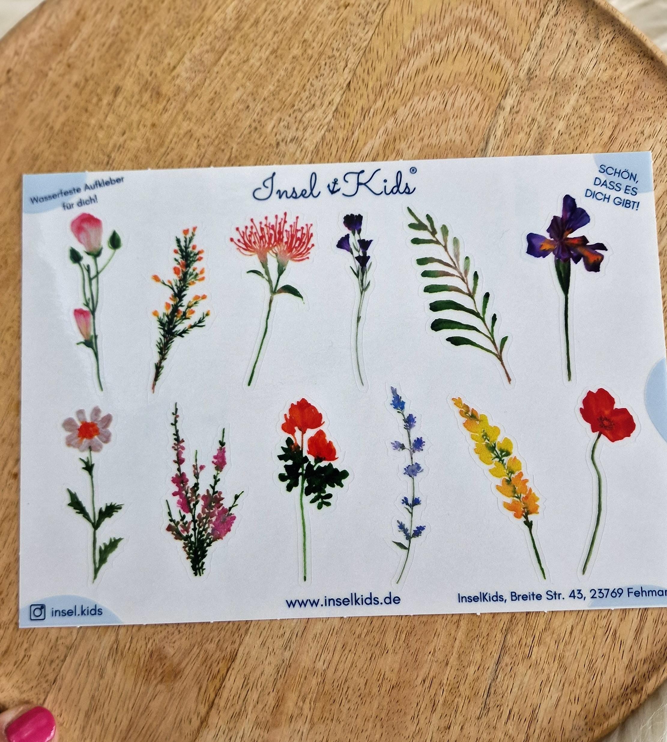 Wasserfeste Spühlmaschinenfeste Sticker Transparent Aufkleber UV-beständig Wasserfest / Für Trinkflasche Brotdose Getrocknete Blumen – Stickers
