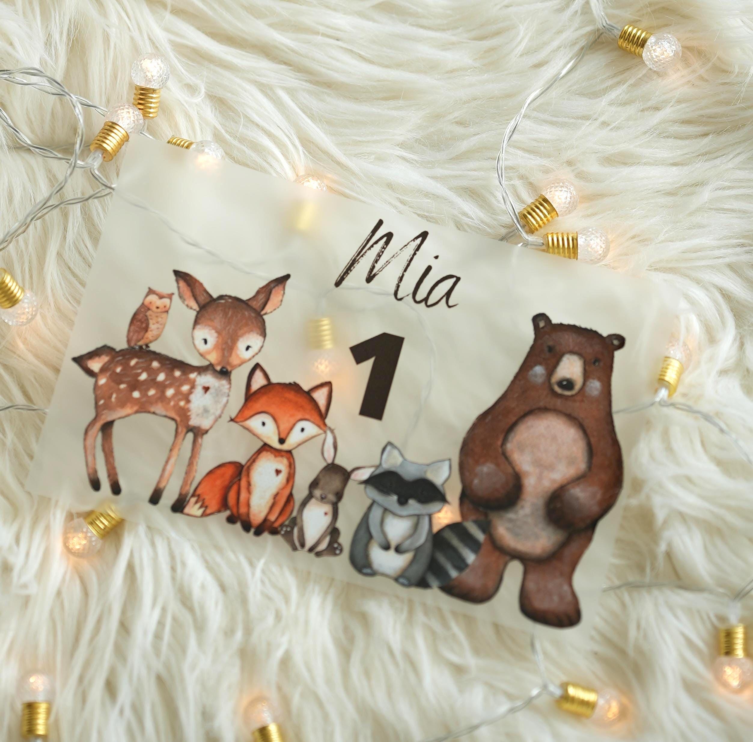 Bügelbild Waldtiere mit Name & Zahl – Geburtstagsshirt – für farbige ien – Fuchs Reh Waschbär Bär A4 oder A5 – Appliques & Patches