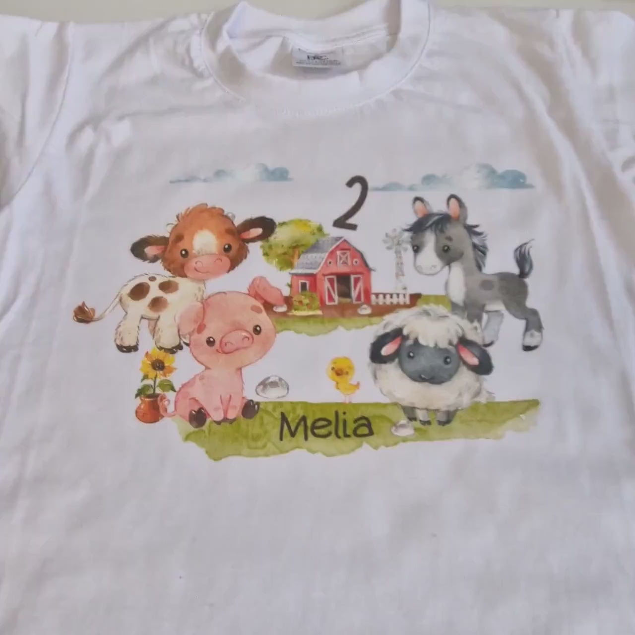 Geburtstagsshirt Bauernhof personalisiert – Shirt mit Name & Zahl – Bauernhoftiere für oder n – Geburtstags