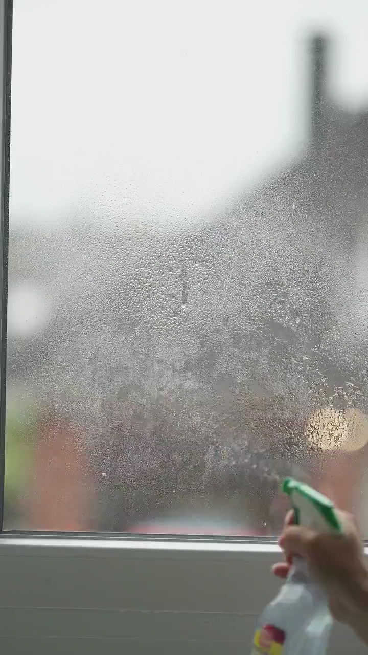 Fensterbild Unterwasserwelt Türkis – Wal Narwal Qualle Fische – zimmer Deko wiederverwendbar ohne Kleber – A4 A3 A2 – ablösbar