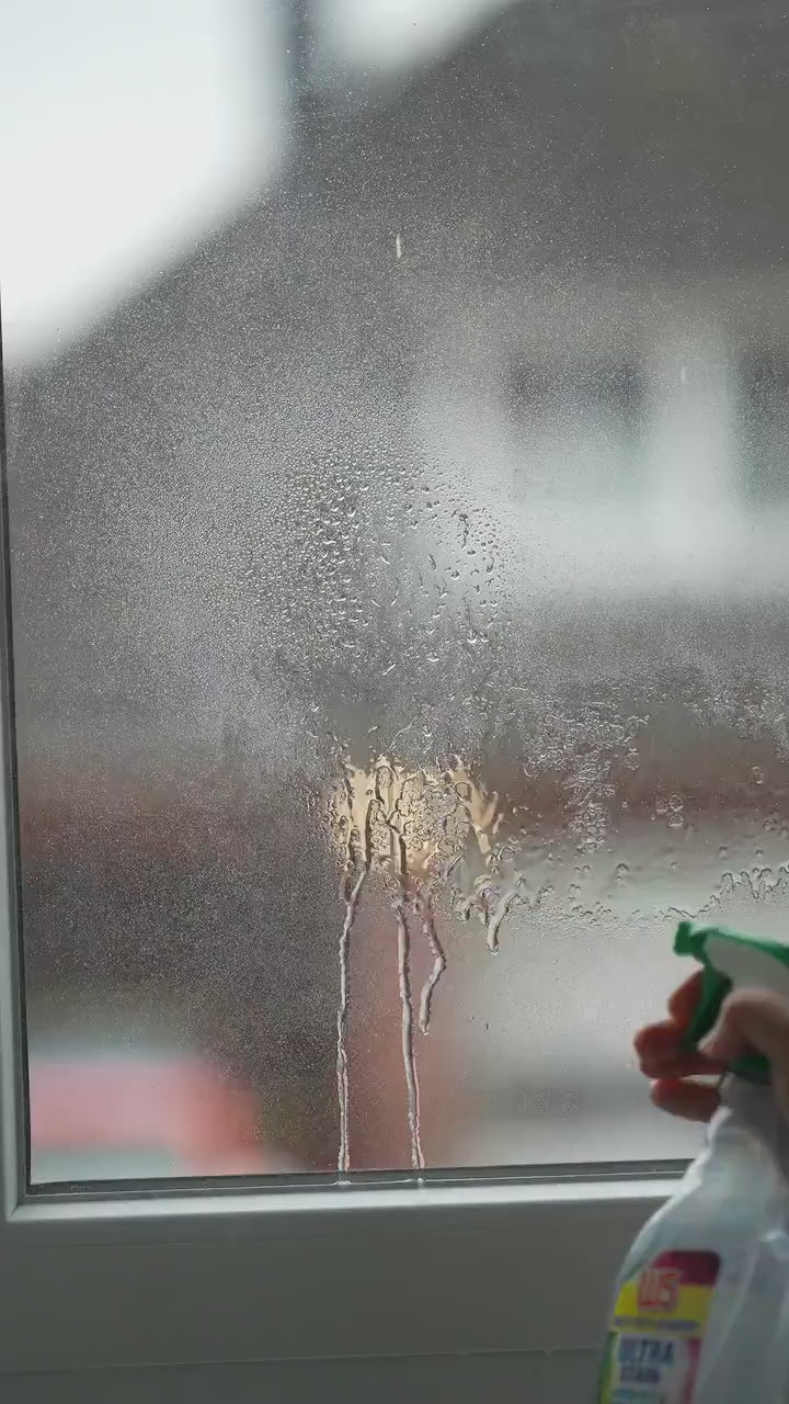 Fensterbild Bienen für zimmer – wiederverwendbar & statisch haftend – fröhliche Frühlingsdeko ohne Kleber