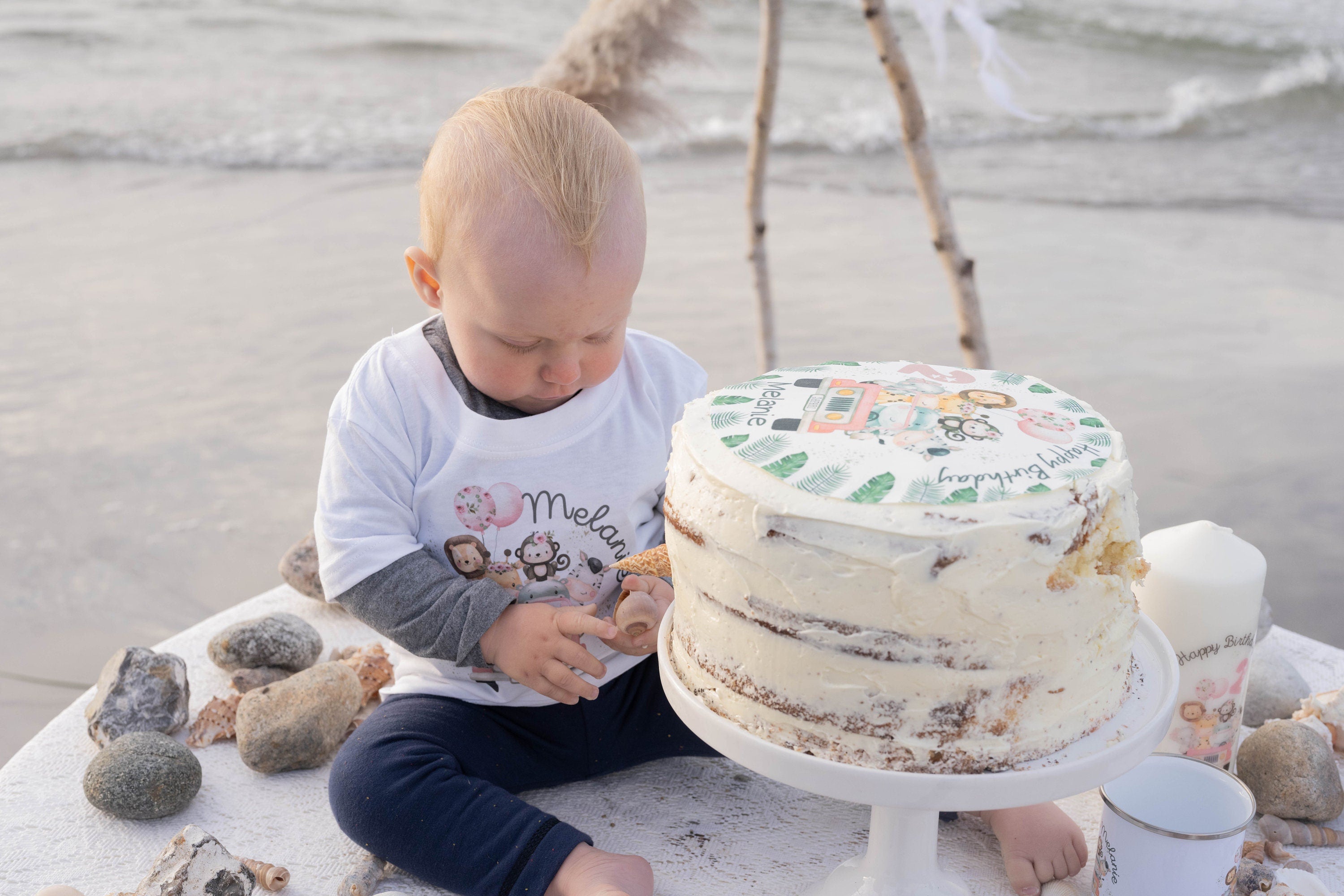 Tortenaufleger Fondant Geburtstag Löwe Elefant Dschungel Safari Safaritiere Wild One